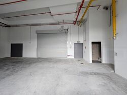 Ct Foodnex (D25), Factory #480263751